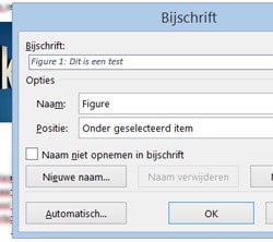 Bijschrift (titel en nummering) invoegen Word 2013