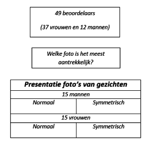 schema-experiment-artikel