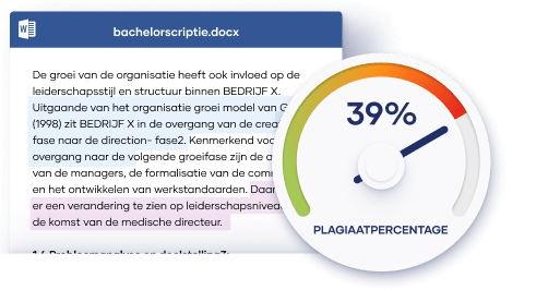 plagiaat rapport