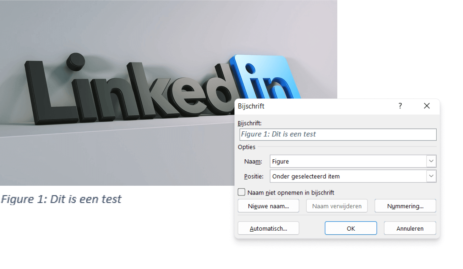 Bijschrift (titel en nummering) invoegen Word 2013
