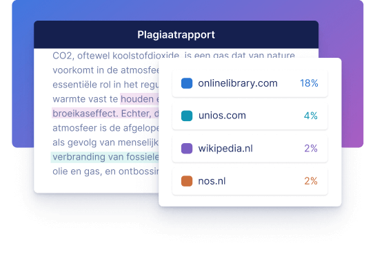 Plagiaat rapport